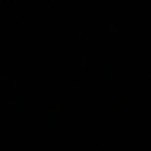 Meet your Posher, Wesley